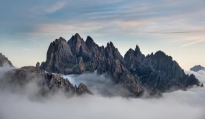 Zobacz czy potrzebujesz kupić oprogramowanie dla logistyki?